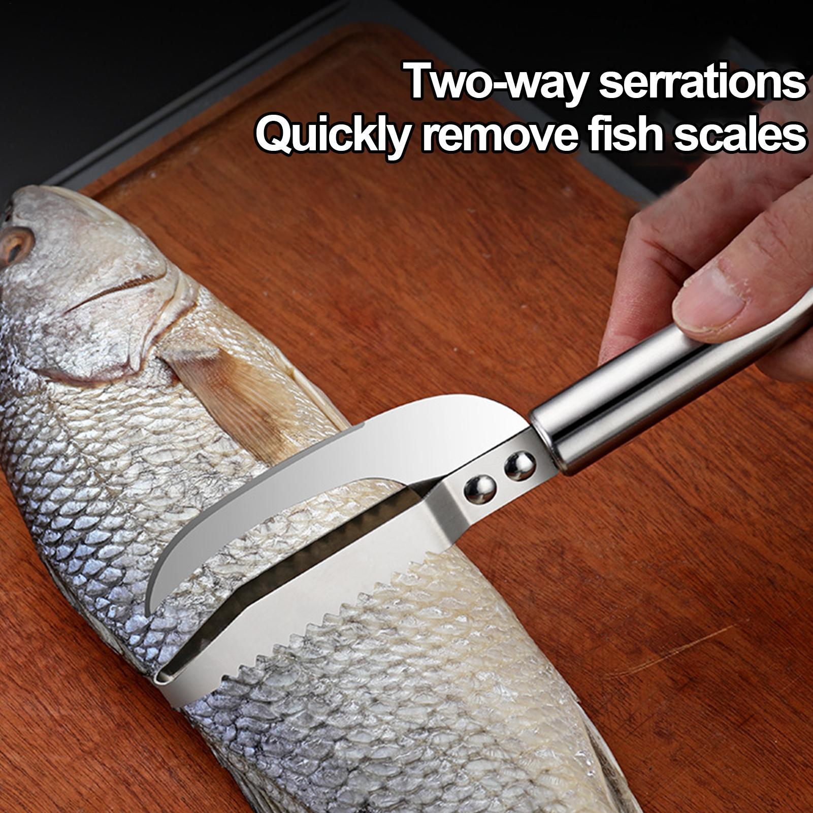 Fish Scale Remover Knife Picki - Kitchen Gadgets That Are Useful recension och pris