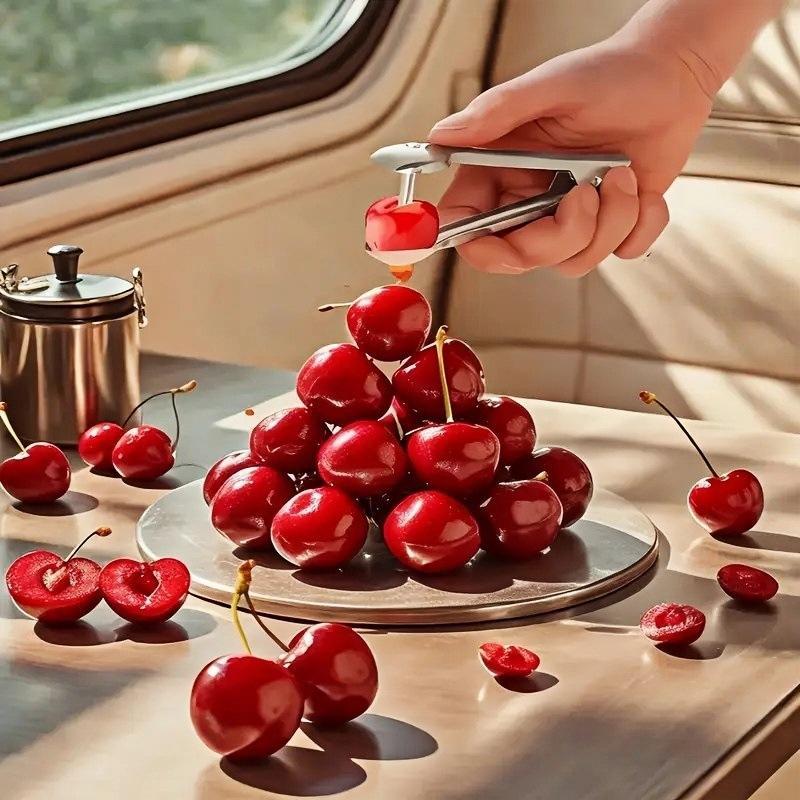 /KQM/Stainless Steel Cherry Fr - Cherry Pitter Tool recension och pris
