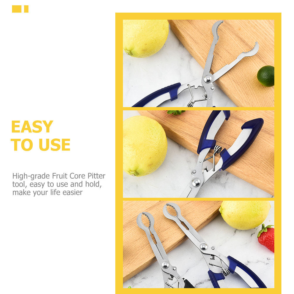 Hawthorn Core Remover Tool Por - Cherry Pitter Tool recension och pris